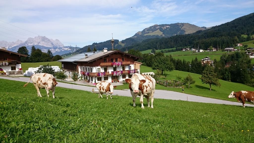 Bio-Bauernhof Niederlehen Villa Fieberbrunn Buitenkant foto